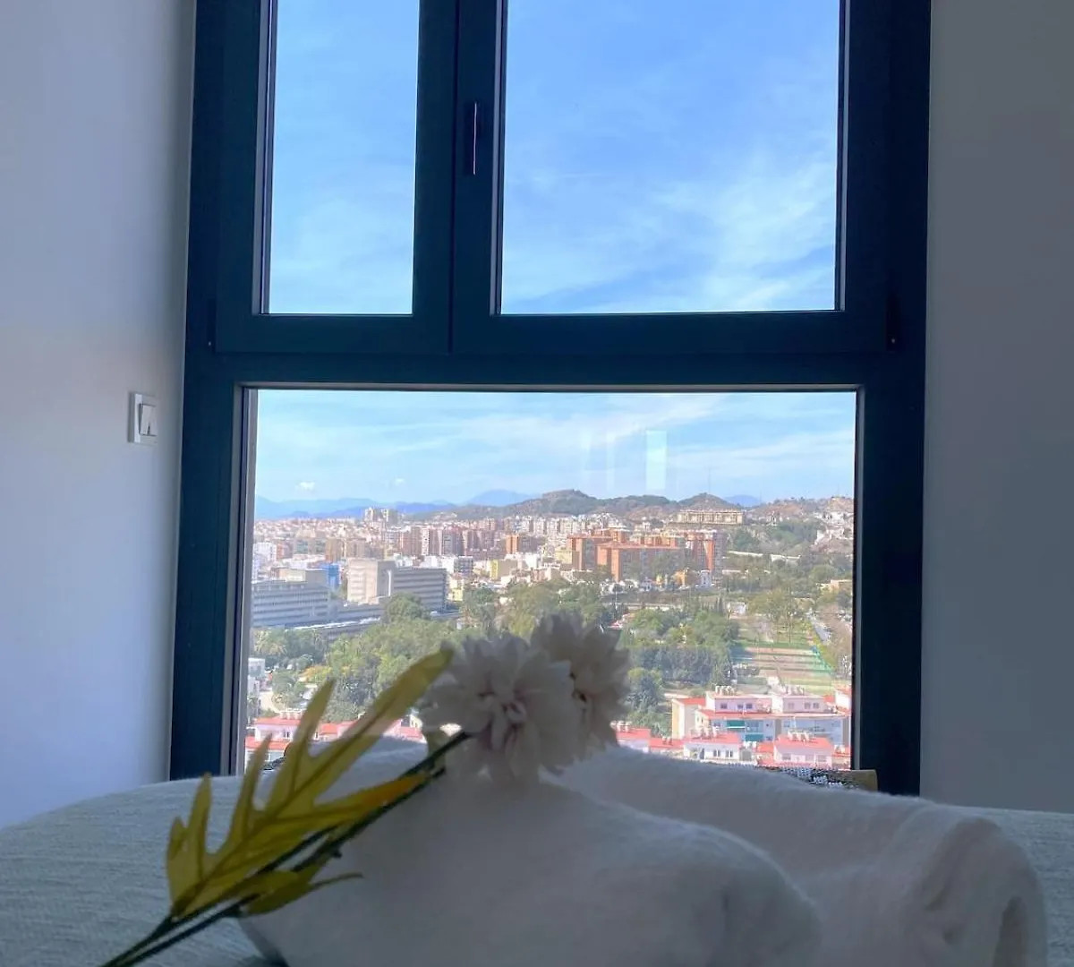 Skyline Malaga Center, Luxury, Planta 20公寓 西班牙